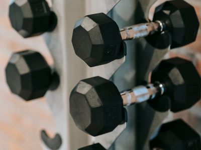 Row of heavy black dumbbells on a metal rack